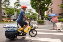 TERN Kindersitzbank "Clubhouse+" Für Tern GSD 12 TERN Kindersitzbank "Clubhouse+" Für Tern GSD -BikeWerkstatt Verkaufsgeschäft tern clubhouse plus am tern gsd montiert im einsatz